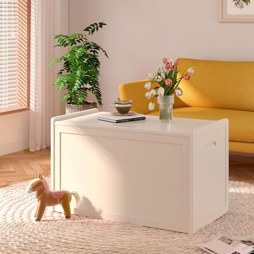 Storage Chest, Entryway Storage Bench with 2 Safety Hinges, Storage Trunk wit...
