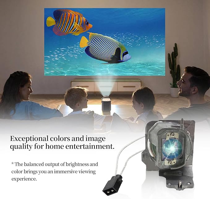 SORNEICDR BL-FU200E / SP.7EH01GC01 Replacement Projector Lamp Bulb Compatible