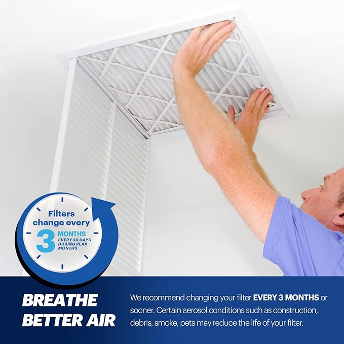 BNX TruFilter 20x20x1 MERV 13 AC Furnace Air Filter (12 Pack)
