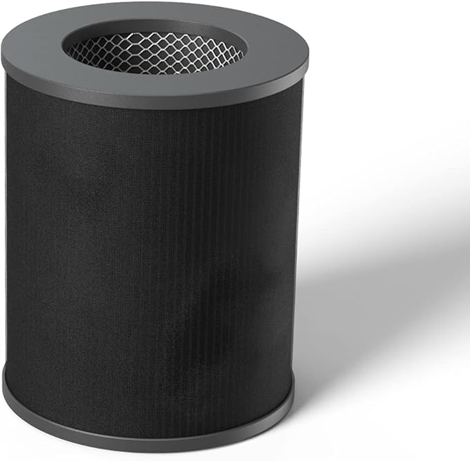Air Health SKYE Replacement Filter featuring a Pre-Filter, Carbon Filter