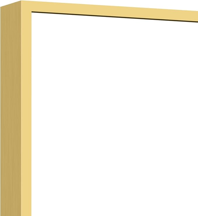 30x40In Gold Bathroom Mirror for Wall, Brushed Gold Rectangle Mirrors