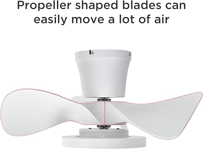 ocioc Quiet Ceiling Fan with LED Light 22 inch Large Air Volume Remote Control