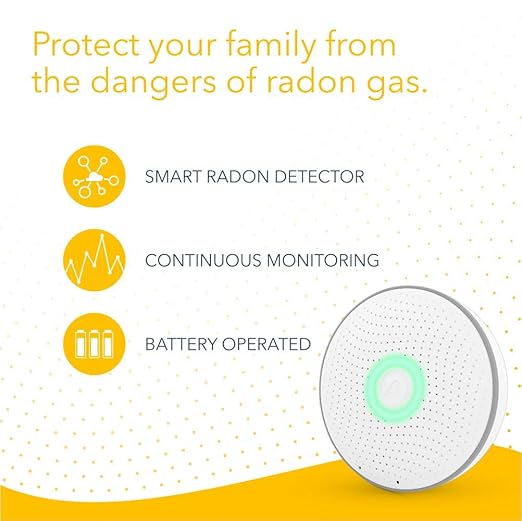 Airthings 2950 Wave Radon
