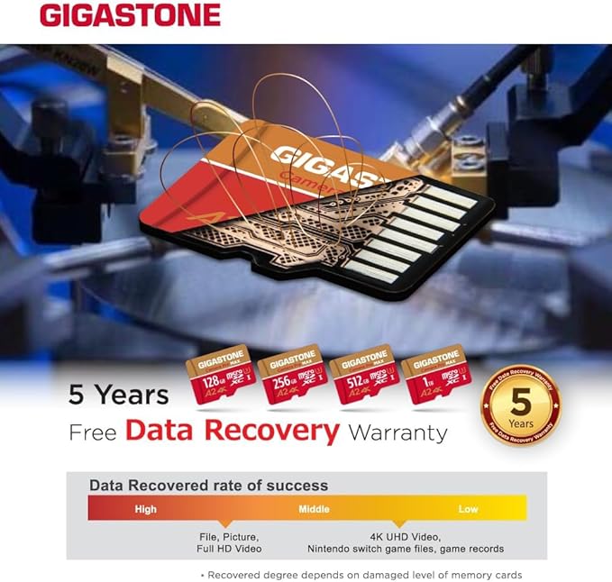 【5-Years Data Recovery】 GIGASTONE 256GB Micro SD Card
