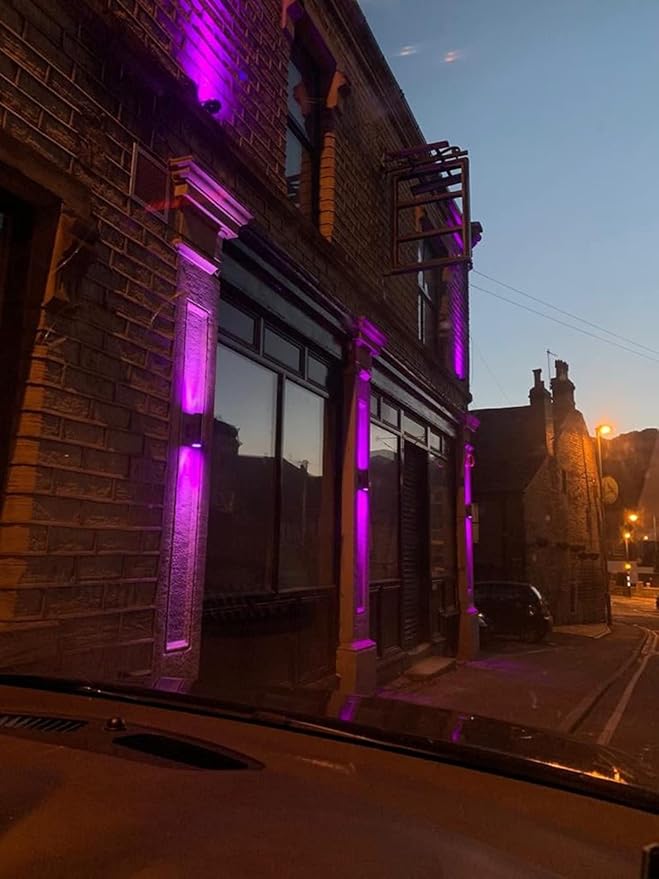 rosykite Exterior Double Up Down Outdoor Wall Lights, Mi.Light Remote Control...