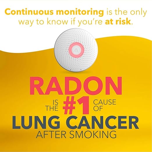 Airthings 2950 Wave Radon