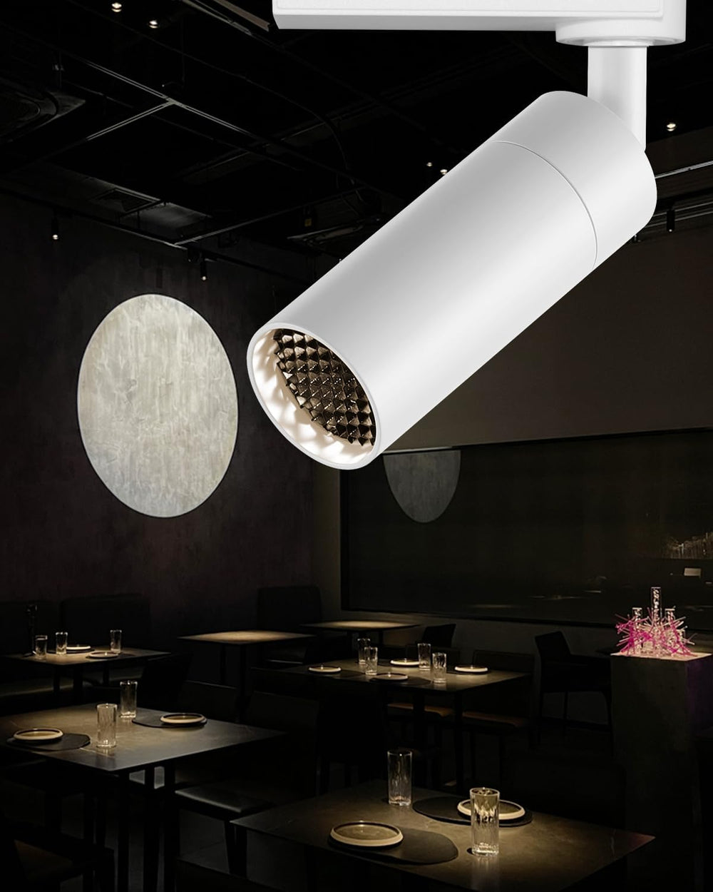 Gpaillumic LED Spotlights led Track Lights