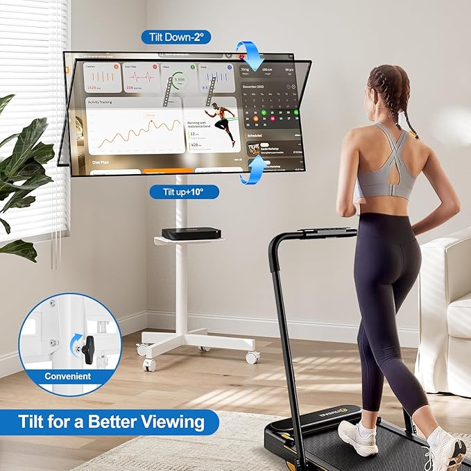 HOLMAXD Mobile TV Stand for 23-65 Inch LCD LED Flat/Curved Panel Screen TVs