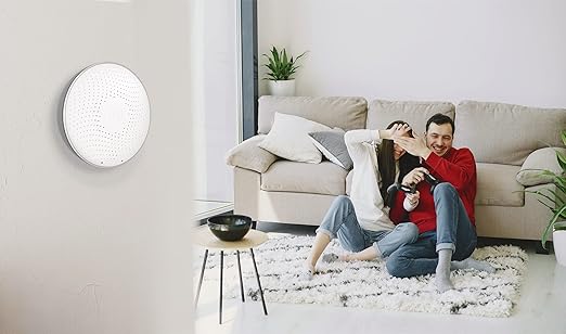 Airthings 2950 Wave Radon