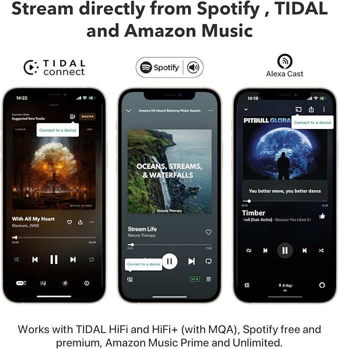 WiiM Pro Plus AirPlay 2 Receiver, Google Cast Audio, Voice Remote, Works