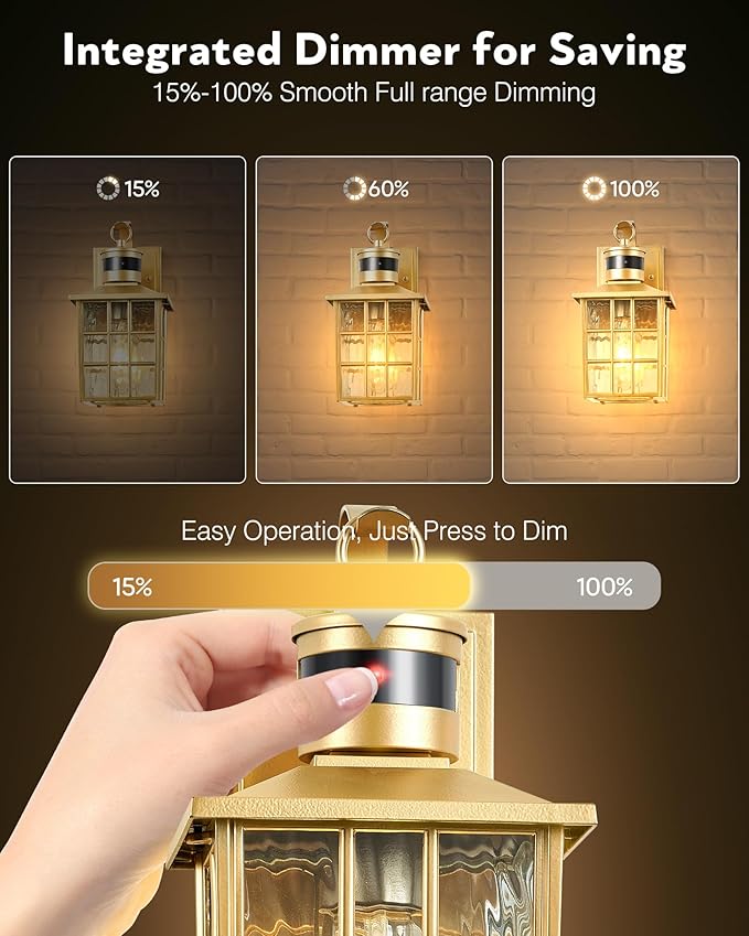 VIANIS Porch Lights Outdoor, Modern Outside Motion Sensor Lights