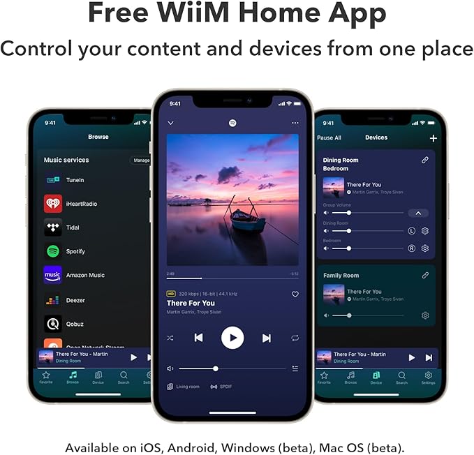 WiiM Pro Plus AirPlay 2 Receiver, Google Cast Audio, Voice Remote, Works