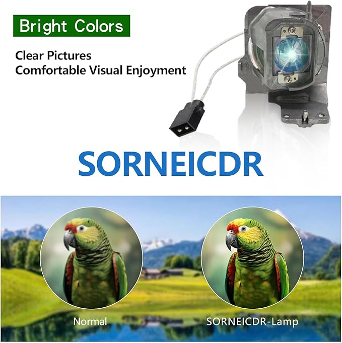 SORNEICDR BL-FU200E / SP.7EH01GC01 Replacement Projector Lamp Bulb Compatible