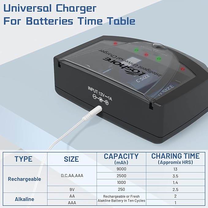 Universal Rapid Battery Charger