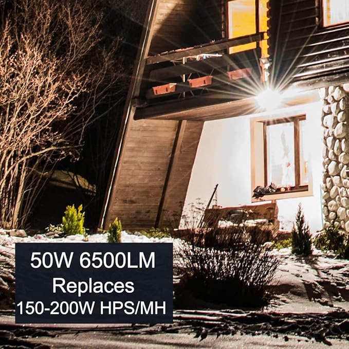 kadision LED Flood Light Outdoor