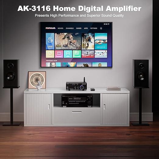 Facmogu AK-3116 HiFi Digital Amplifier, Mini Amp Audio System