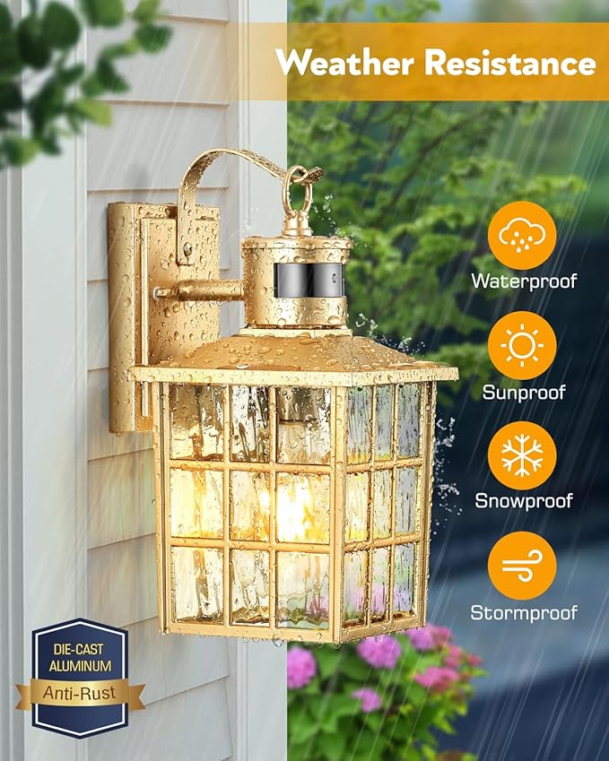VIANIS Porch Lights Outdoor, Modern Outside Motion Sensor Lights