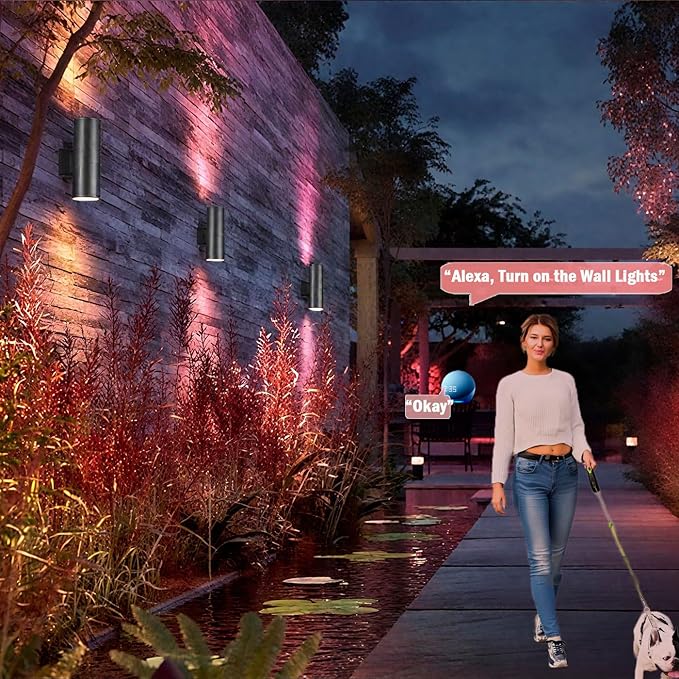 rosykite Exterior Double Up Down Outdoor Wall Lights, Mi.Light Remote Control...