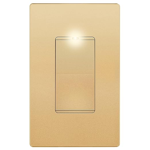LIDER Minimalist Design Matte Finish Lighted Decorator Switch